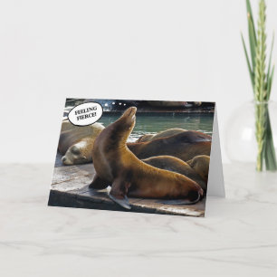 Seal with Attitude Card
