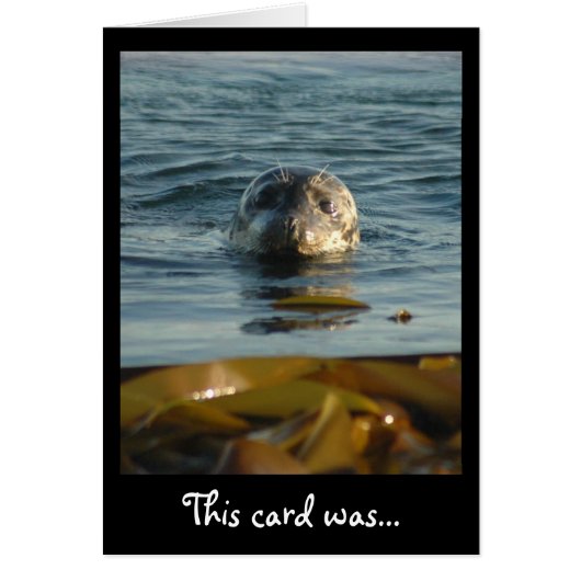 Sealed With a Kiss Card (Front)