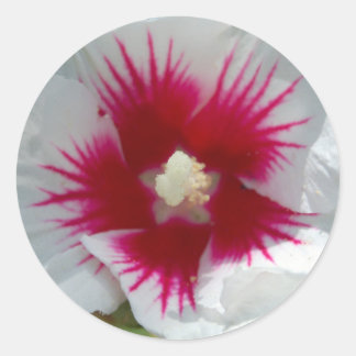 Sealed with a STARBURST KISS! Stickers