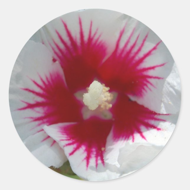 Sealed with a STARBURST KISS! Stickers (Front)