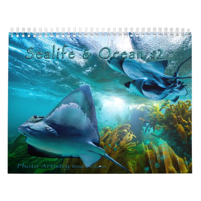 SEALIFE AND OCEAN ART #2 Calendar (Cover)