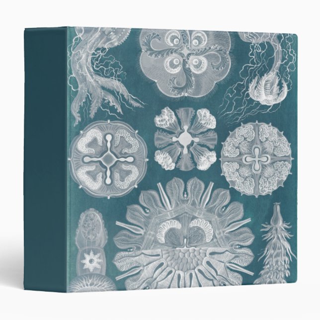 Sealife Blueprint IV 3 Ring Binder (Front/Spine)