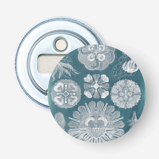 Sealife Blueprint IV Bottle Opener (Front)