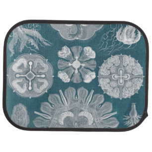 Sealife Blueprint IV Car Mat