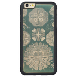 Sealife Blueprint IV Carved Maple iPhone 6 Plus Bumper Case