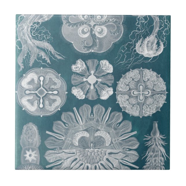 Sealife Blueprint IV Ceramic Tile (Front)