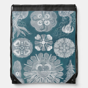 Sealife Blueprint IV Drawstring Bag