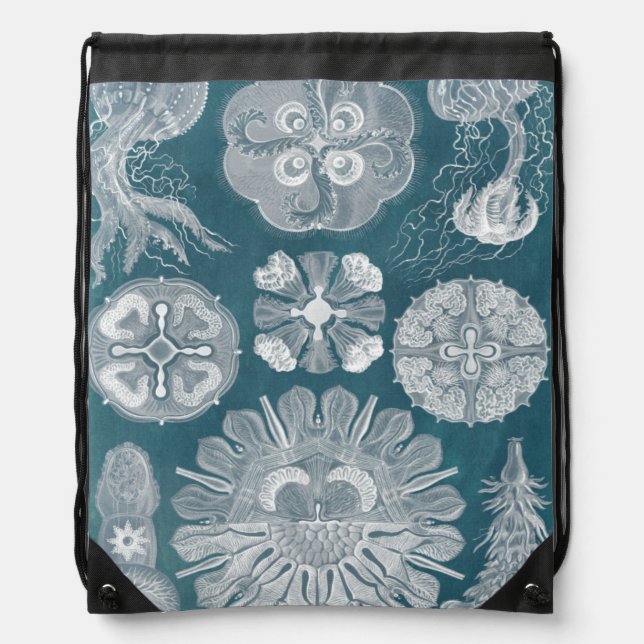 Sealife Blueprint IV Drawstring Bag (Front)