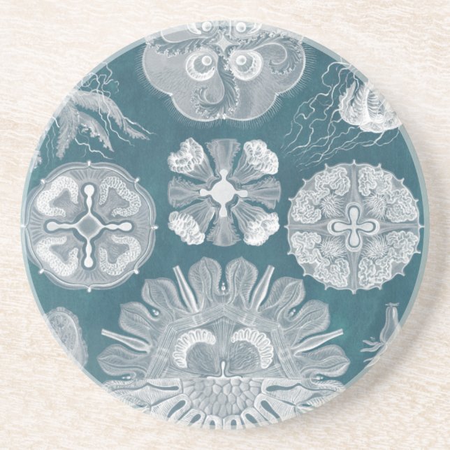 Sealife Blueprint IV Drink Coaster (Front)