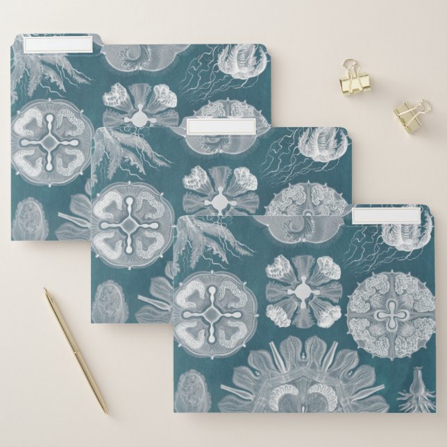Sealife Blueprint IV File Folder (Set)