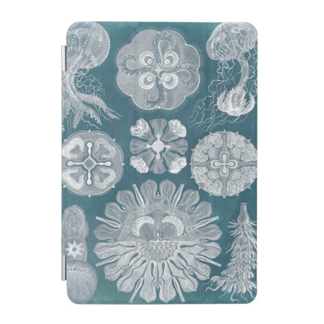 Sealife Blueprint IV iPad Mini Cover (Front)