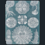 Sealife Blueprint IV iPad Smart Cover<br><div class="desc">Marine Life</div>