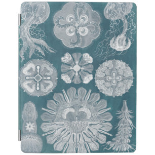 Sealife Blueprint IV iPad Smart Cover