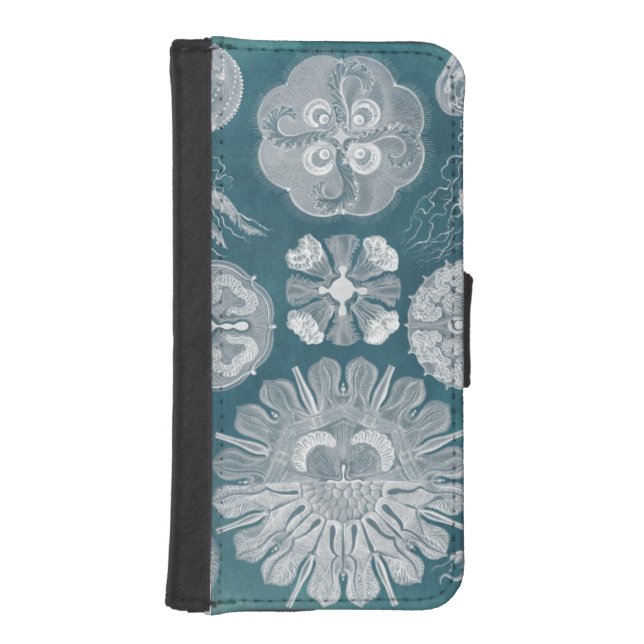 Sealife Blueprint IV iPhone Wallet Case (Front)