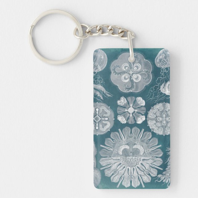 Sealife Blueprint IV Keychain (Front)