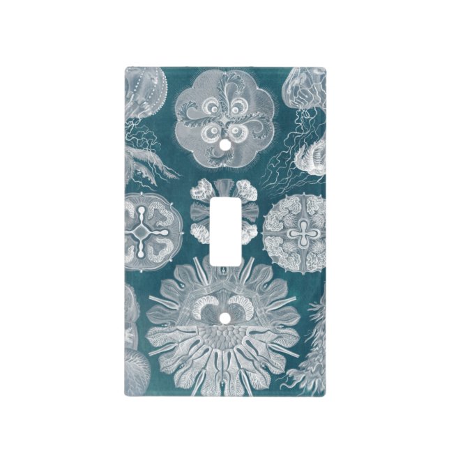 Sealife Blueprint IV Light Switch Cover (Front)