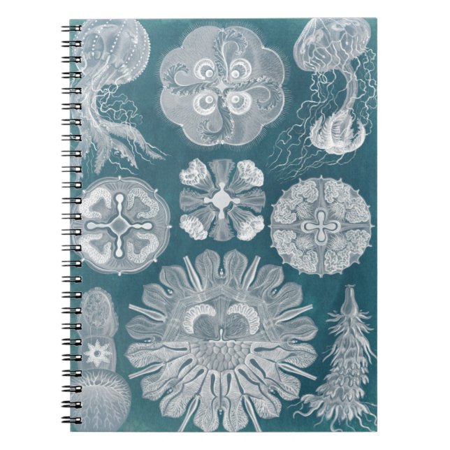 Sealife Blueprint IV Notebook (Front)