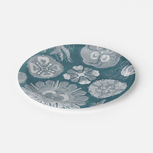 Sealife Blueprint IV Paper Plates (Angled)