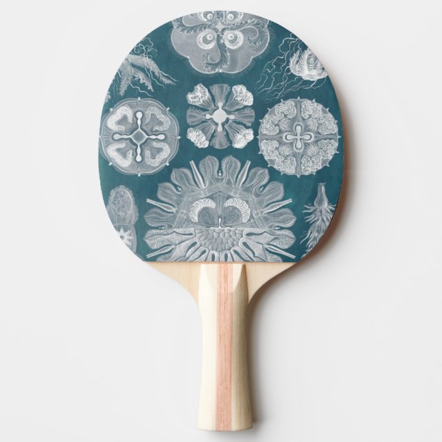 Sealife Blueprint IV Ping-Pong Paddle (Front)