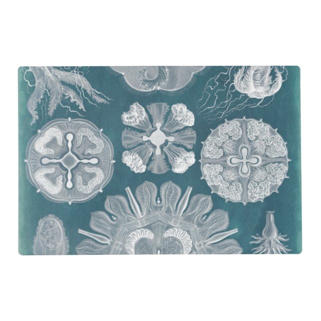 Sealife Blueprint IV Placemat (Front)