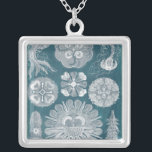 Sealife Blueprint IV Silver Plated Necklace<br><div class="desc">Marine Life</div>