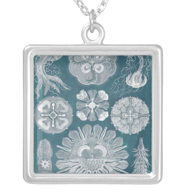 Sealife Blueprint IV Silver Plated Necklace (Front)