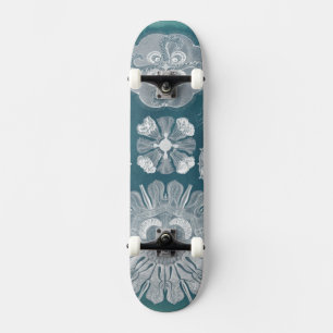 Sealife Blueprint IV Skateboard