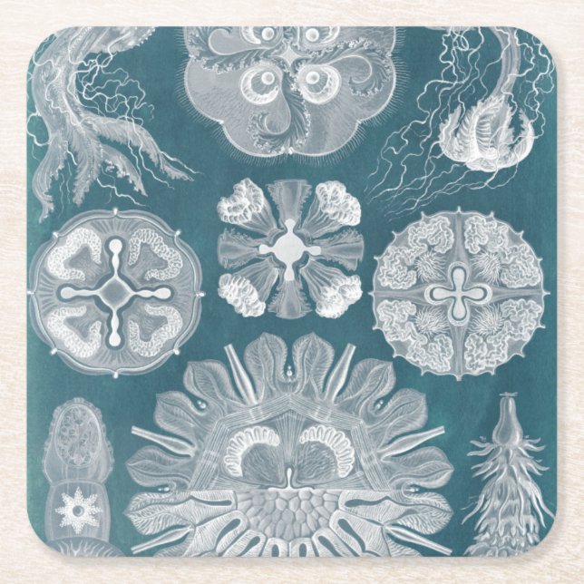 Sealife Blueprint IV Square Paper Coaster (Front)
