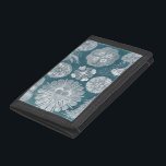 Sealife Blueprint IV Trifold Wallet<br><div class="desc">Marine Life</div>