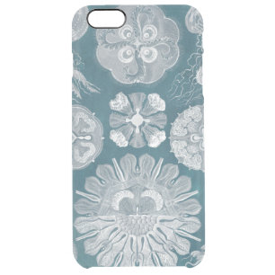 Sealife Blueprint IV Clear iPhone 6 Plus Case
