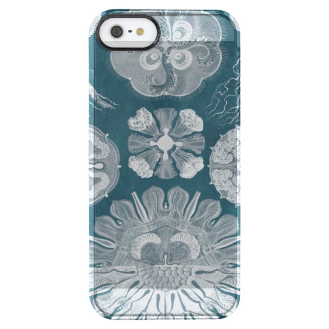 Sealife Blueprint IV Uncommon iPhone Case (Back)