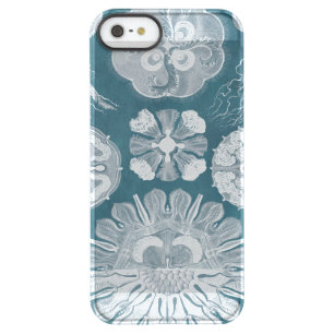 Sealife Blueprint IV Permafrost iPhone SE/5/5s Case