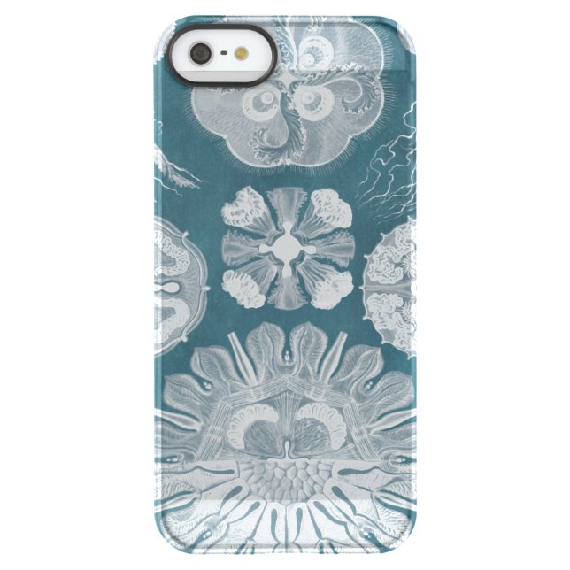 Sealife Blueprint IV Uncommon iPhone Case (Back)