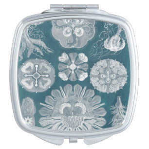 Sealife Blueprint IV Vanity Mirror