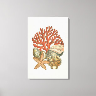 Sealife Collection Canvas Print