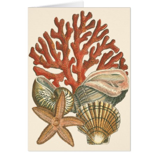 Sealife Collection Cards (Front)
