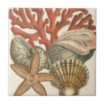 Sealife Collection Ceramic Tile<br><div class="desc">This art print displays sharp,  vivid images with a high degree of color accuracy. Get your sealife collection today in this vintage print. It beautiful red coral reef and lovely starfish will go great on any product.</div>
