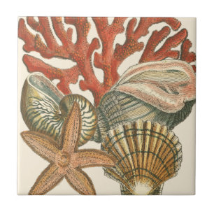Sealife Collection Ceramic Tile