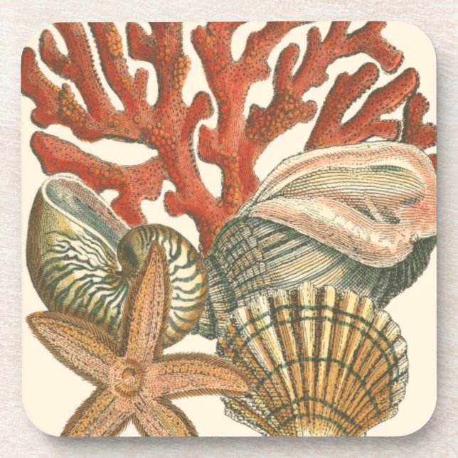 Sealife Collection Drink Coaster (Front)