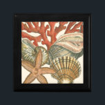Sealife Collection Gift Box<br><div class="desc">This art print displays sharp,  vivid images with a high degree of color accuracy. Get your sealife collection today in this vintage print. It beautiful red coral reef and lovely starfish will go great on any product.</div>