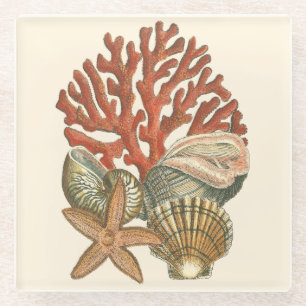 Sealife Collection Glass Coaster