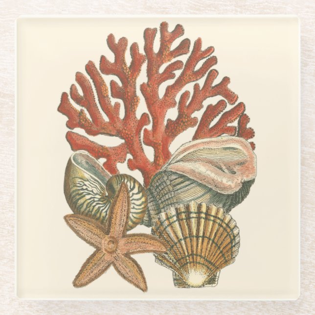 Sealife Collection Glass Coaster (Front)