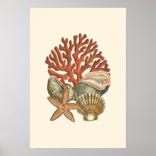 Sealife Collection Poster