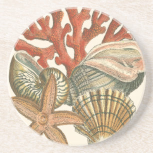 Sealife Collection Sandstone Coaster