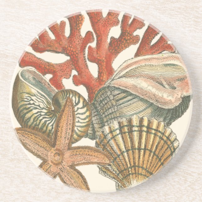 Sealife Collection Sandstone Coaster (Front)
