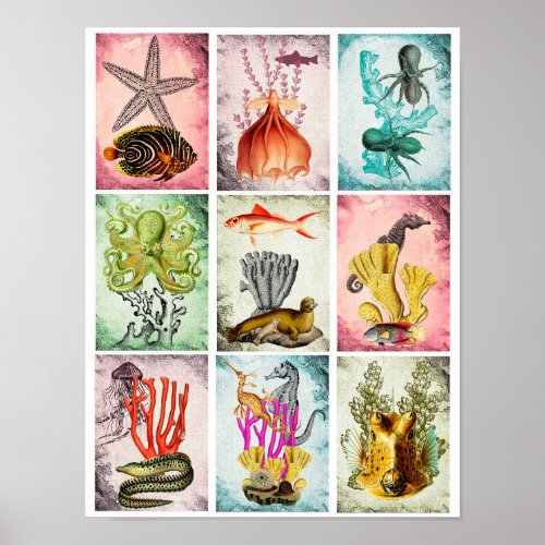 Sealife Ocean Animal Collage Art Poster