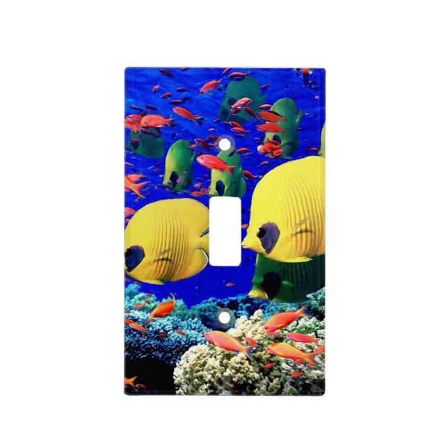 Sealife, Ocean, Beach Light Switch Plate Cover (Front)