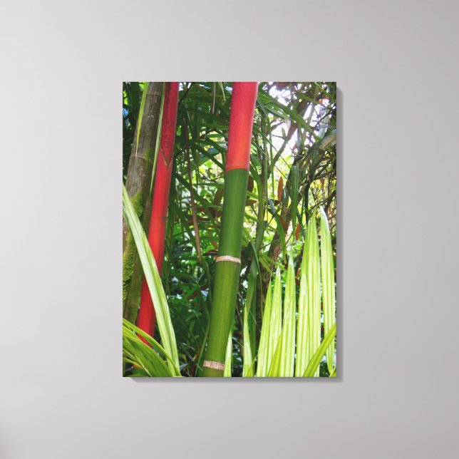 Sealing Wax Palm Canvas Print (Front)