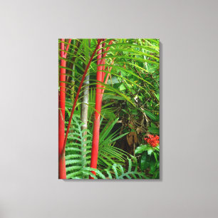 Sealing Wax Palms Canvas Print