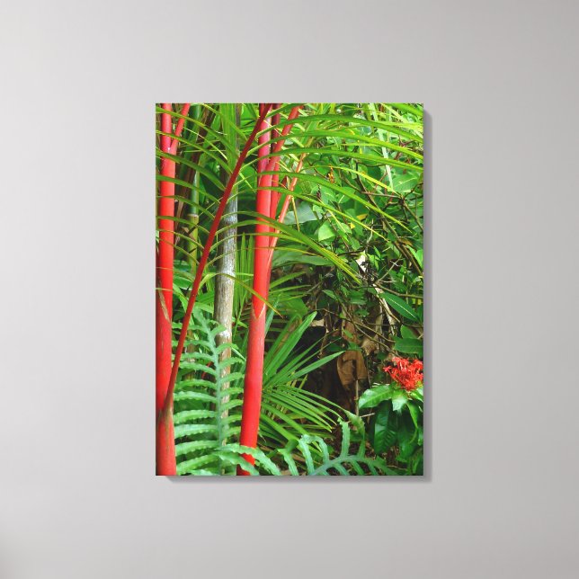 Sealing Wax Palms Canvas Print (Front)